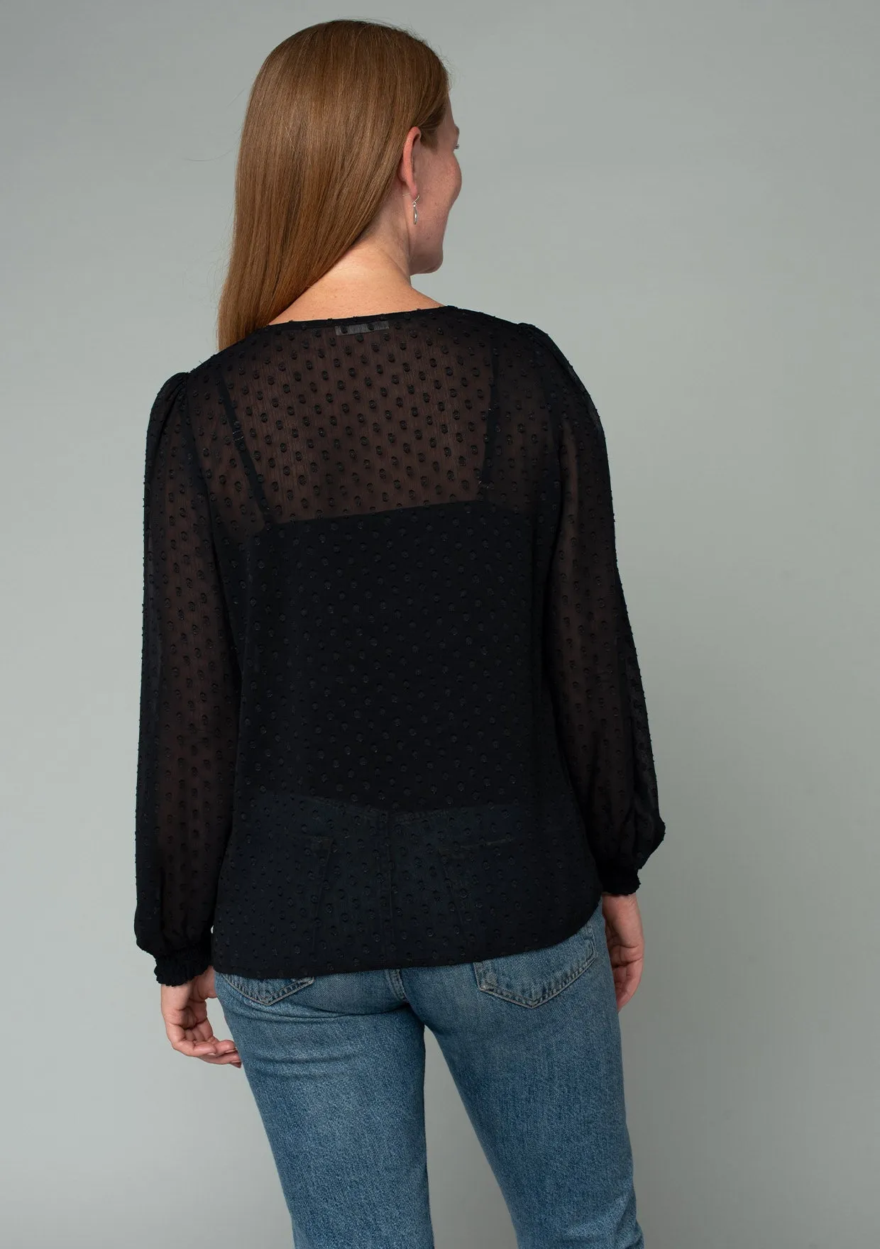 Sheer Swiss Dot Long Sleeve V Neck Blouse