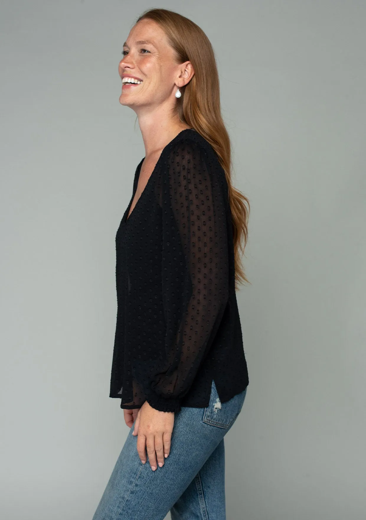 Sheer Swiss Dot Long Sleeve V Neck Blouse
