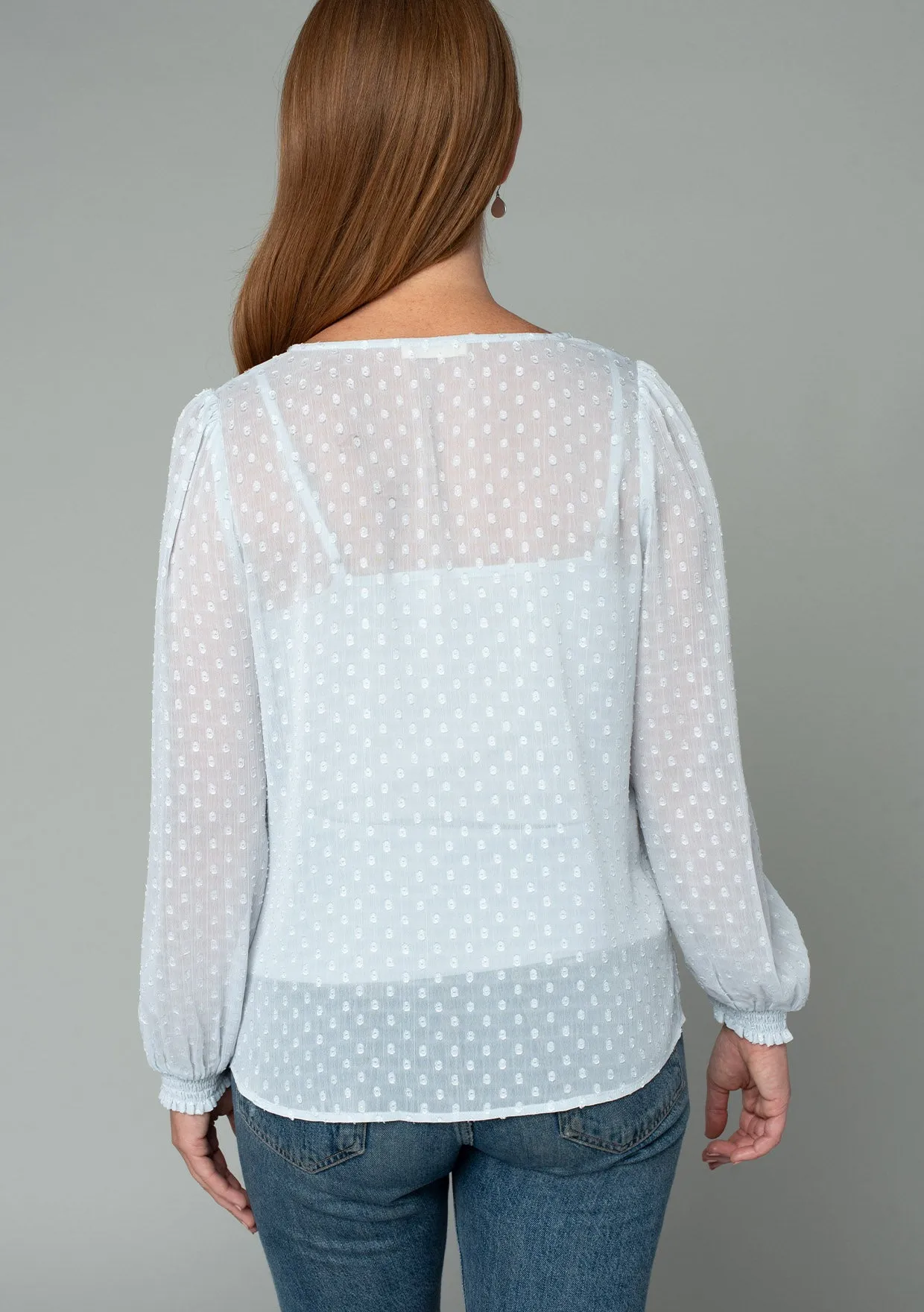 Sheer Swiss Dot Long Sleeve V Neck Blouse